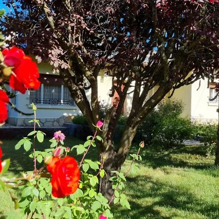 De Las Rosas Bariloche Εξωτερικό φωτογραφία