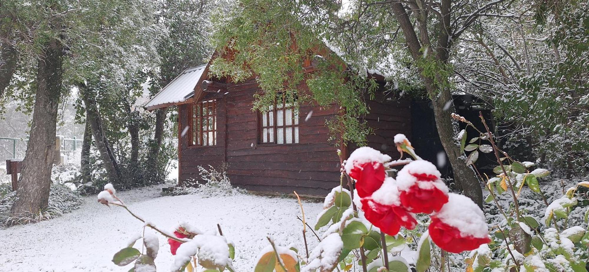 De Las Rosas Bariloche Εξωτερικό φωτογραφία
