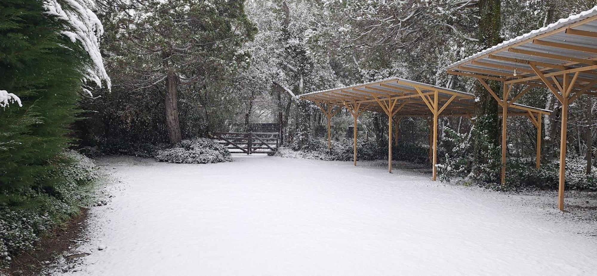 De Las Rosas Bariloche Εξωτερικό φωτογραφία