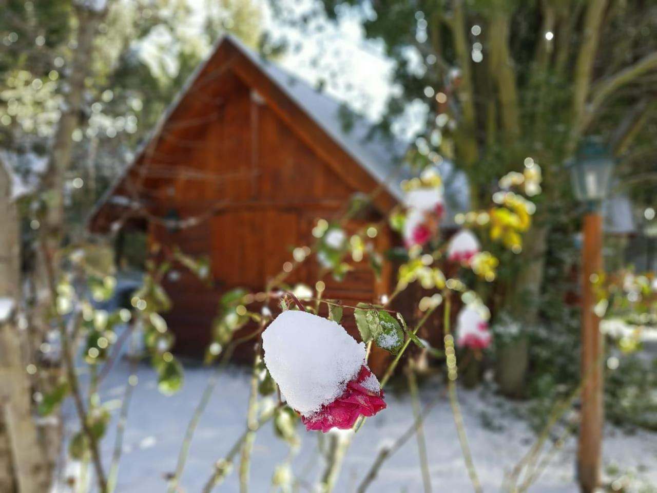 De Las Rosas Bariloche Εξωτερικό φωτογραφία